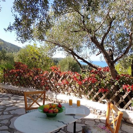 Agios Nikitas Villas Εξωτερικό φωτογραφία